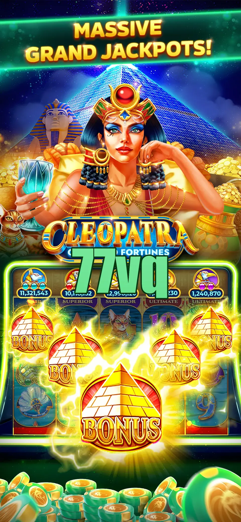 77vq Login
